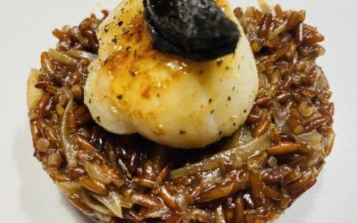 Risotto Saint-Jacques, ail noir