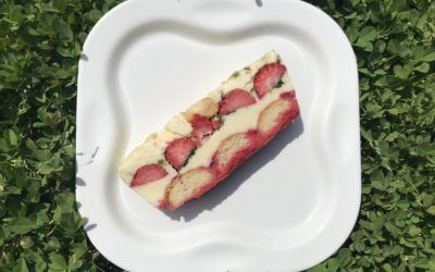 Tiramisu glacé aux fruits rouges