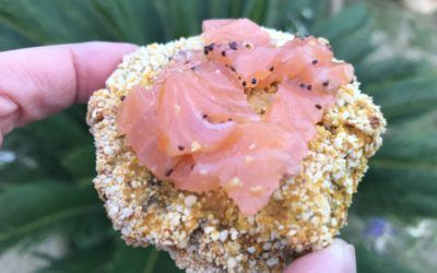 Croquettes ricotta épinard