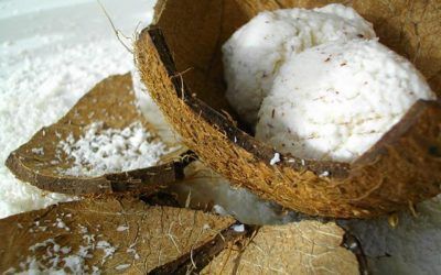 Glace maison à la noix de coco