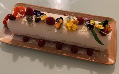 Bûche glacée aux framboises
