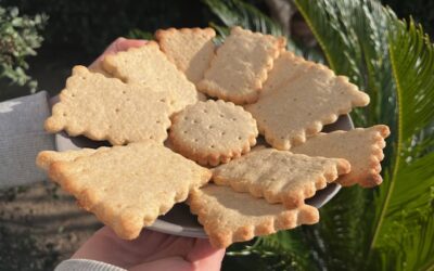 Petits beurre au grand épeautre